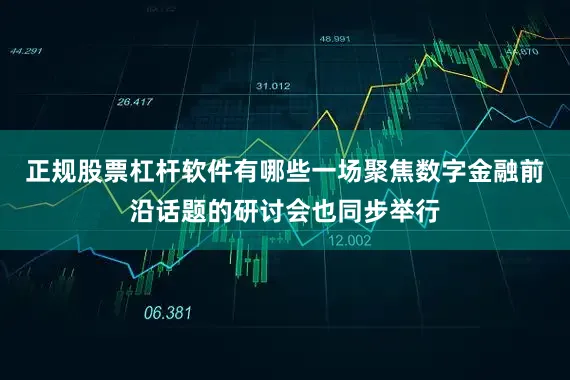 正规股票杠杆软件有哪些一场聚焦数字金融前沿话题的研讨会也同步举行